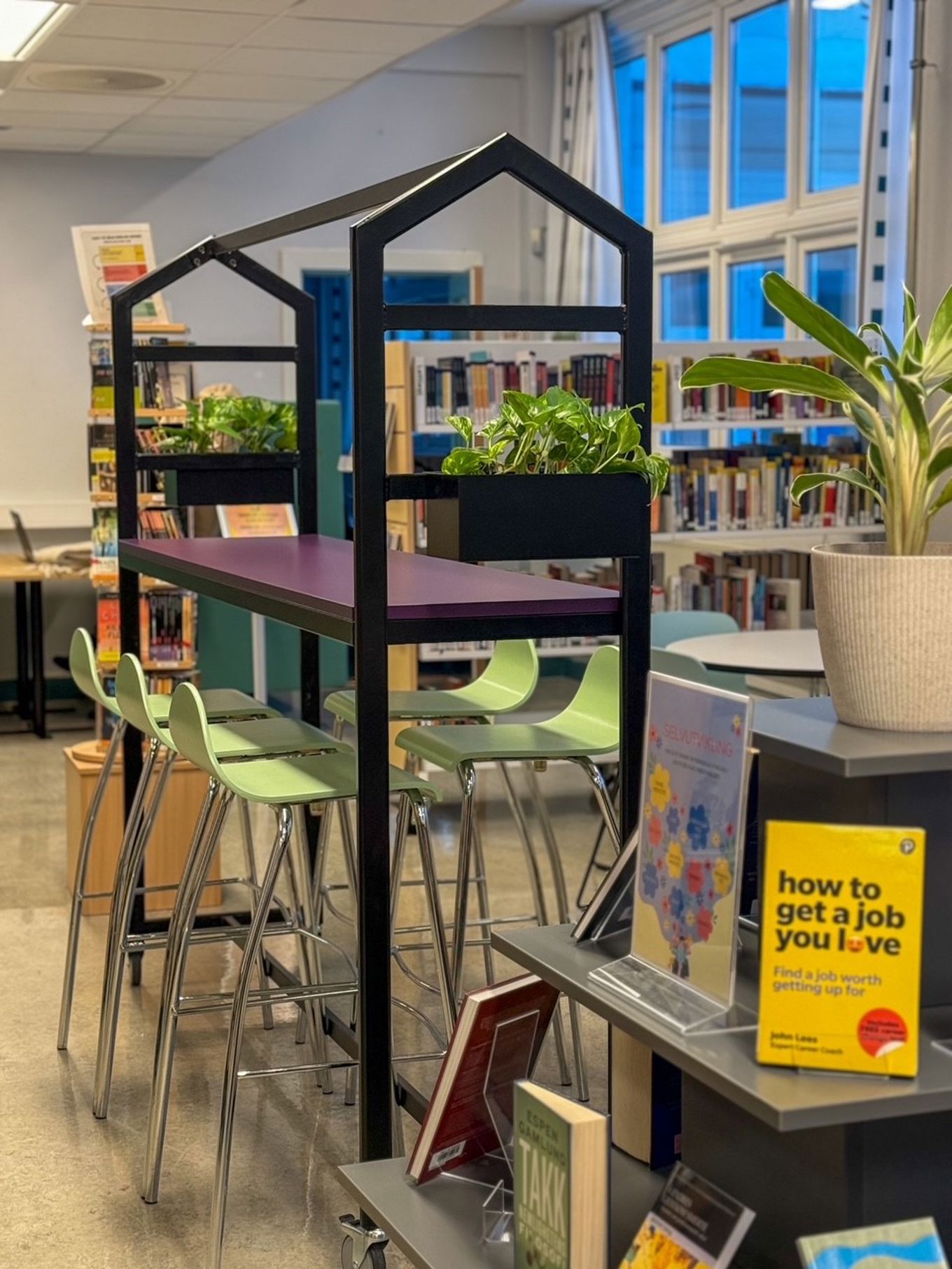 et bord med stoler og en plante på et bord med stoler og en plante på